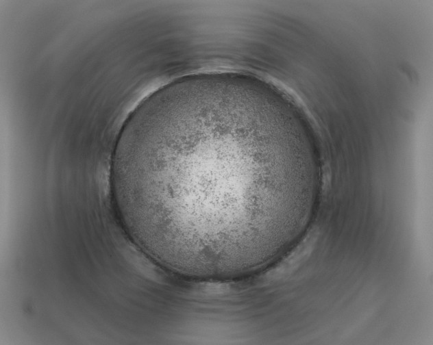 X0000114081409200910191533