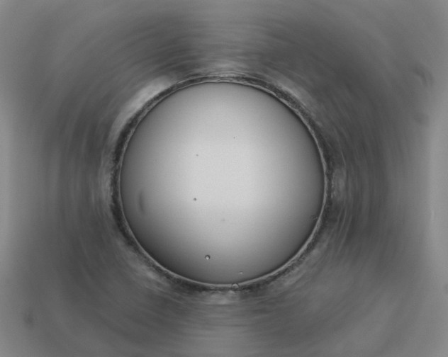 X0000114081410200910191533