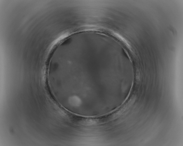 X0000114081411200910191533