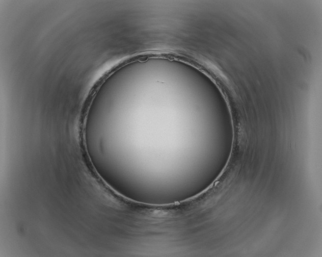 X0000114081412200910191533