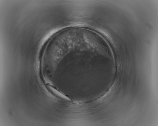 X0000114081414200910191533