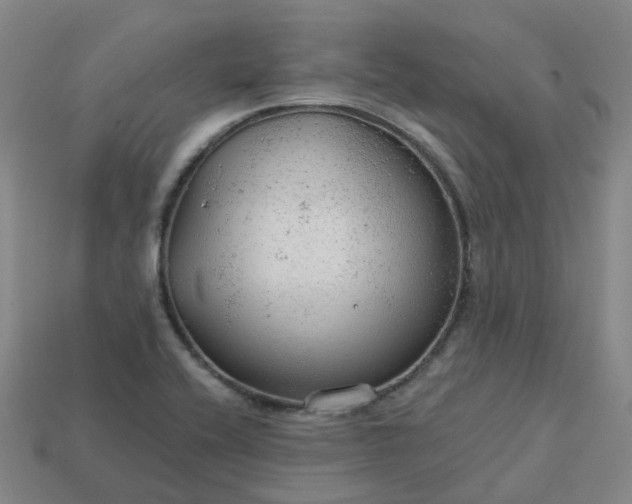 X0000114081416200910191533