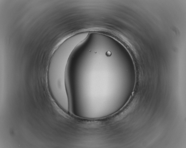 X0000114081417200910191533