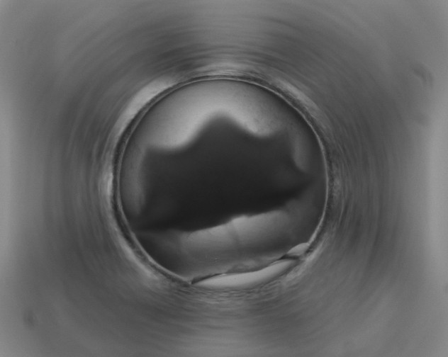 X0000114081418200910191533