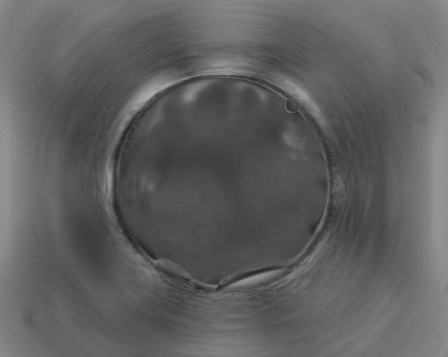 X0000114081419200910191533