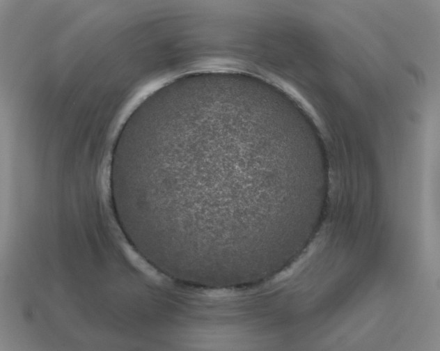 X0000114081421200910191533