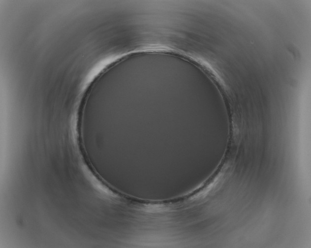 X0000114081422200910191533