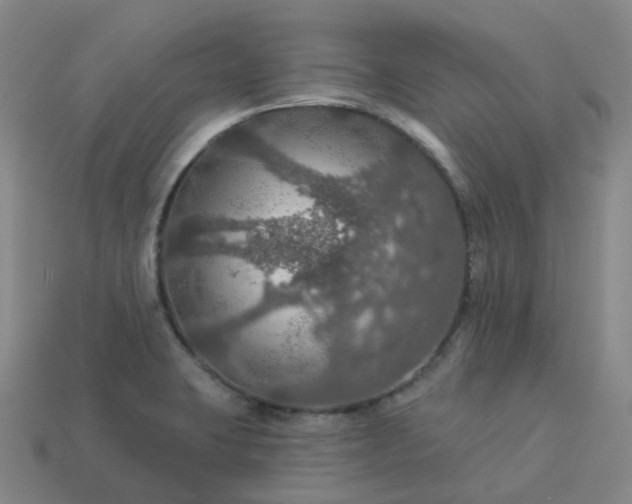 X0000114081423200910191533