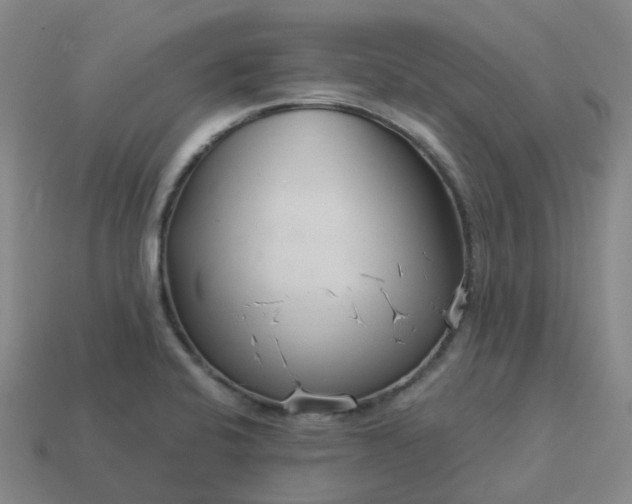 X0000114081424200910191533