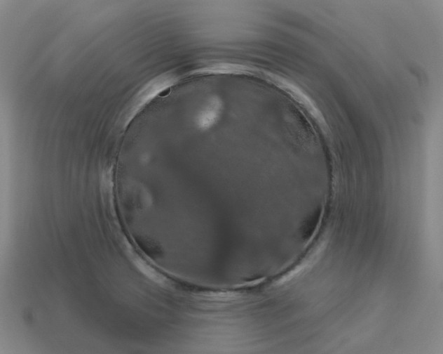 X0000114081425200910191533