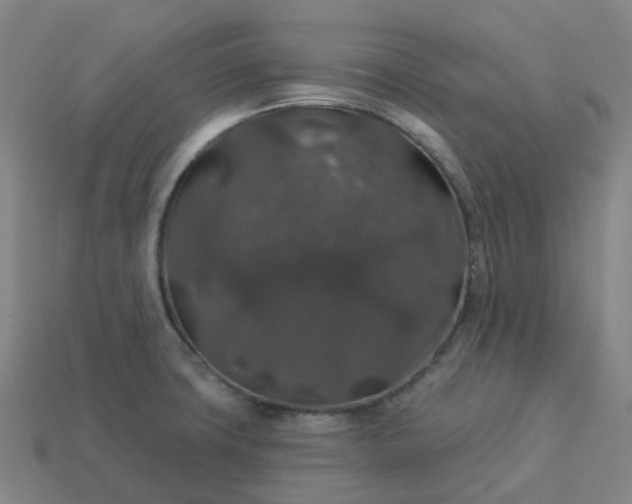 X0000114081427200910191533