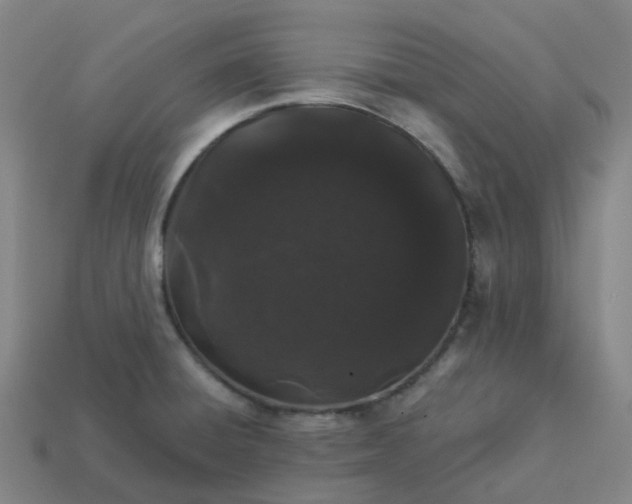 X0000114081428200910191533