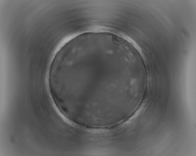 X0000114081429200910191533