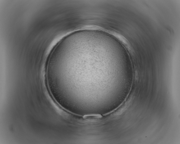 X0000114081430200910191533