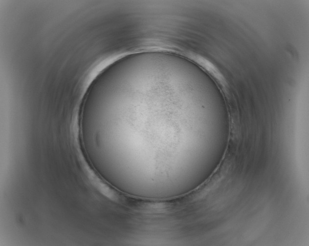 X0000114081431200910191533