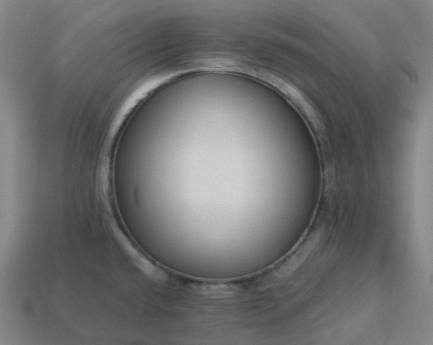 X0000114081432200910191533