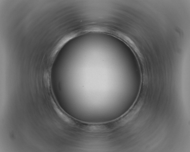 X0000114081433200910191533