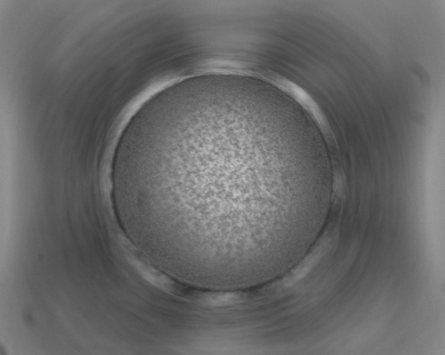 X0000114081435200910191533