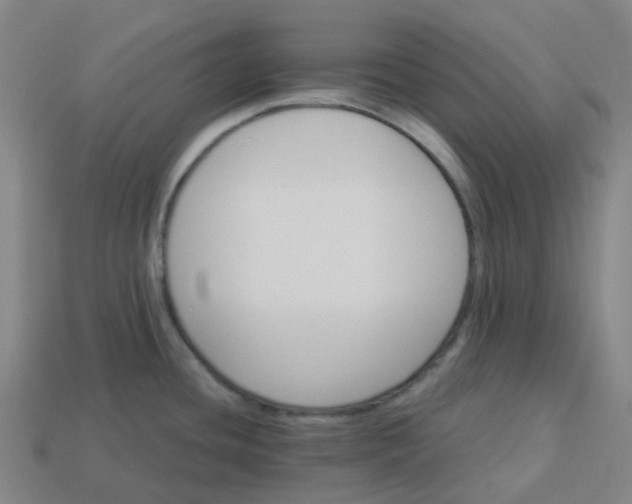 X0000114081436200910191533