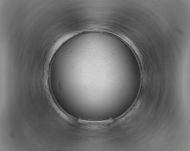 X0000114081437200910191533