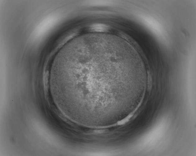 X0000114081438200910191533