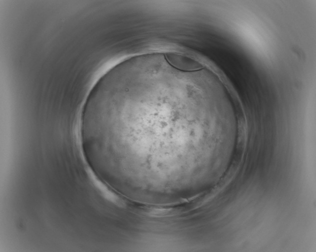 X0000114081439200910191533