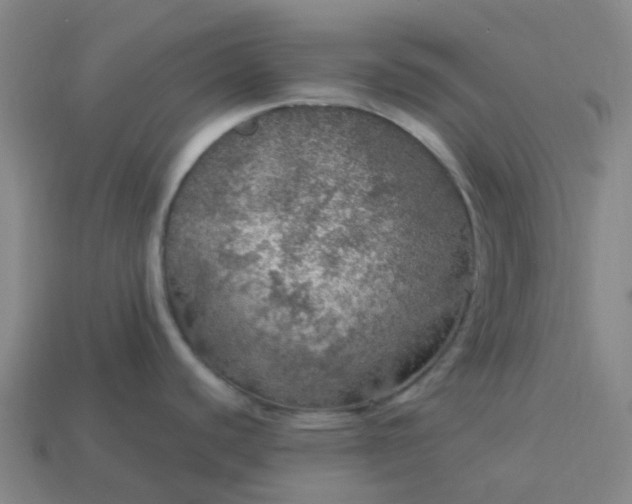 X0000114081440200910191533