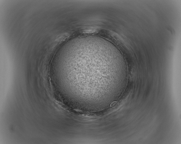 X0000114081441200910191533