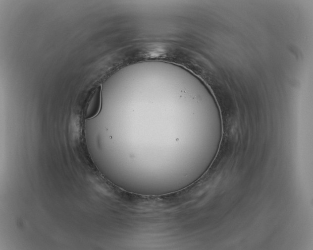 X0000114081442200910191533