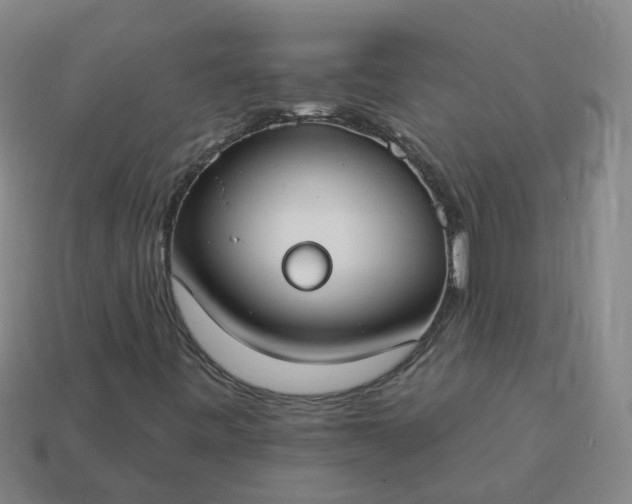 X0000114081443200910191533