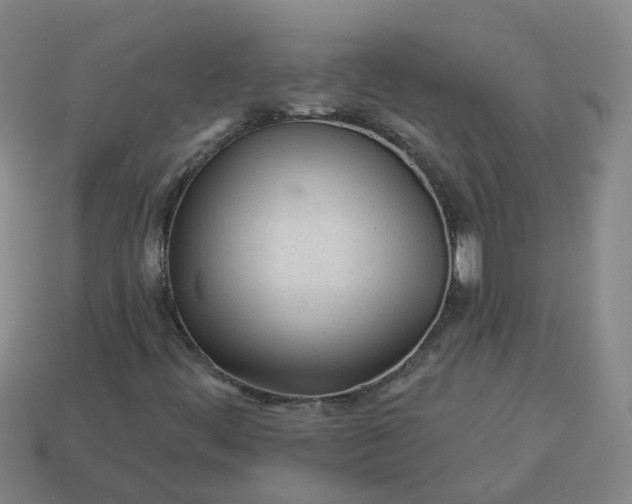 X0000114081444200910191533