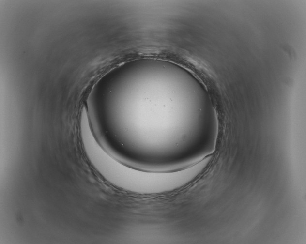 X0000114081445200910191533