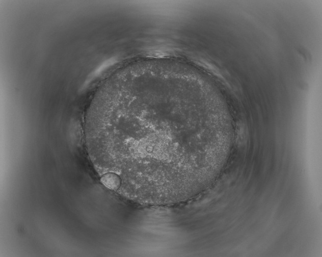 X0000114081446200910191533