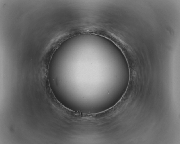 X0000114081447200910191533