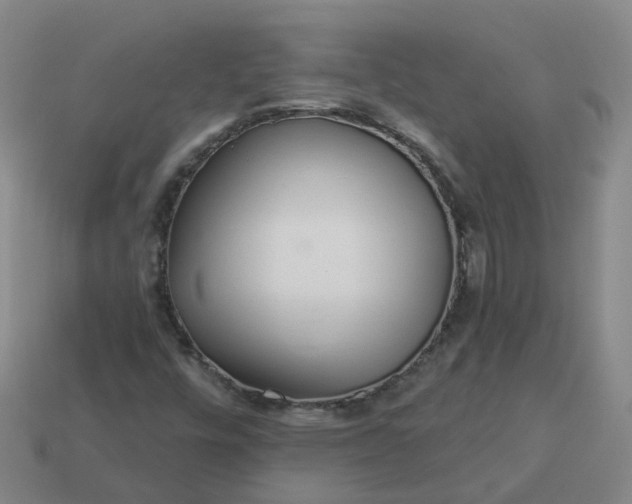 X0000114081448200910191533