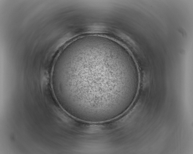 X0000114081449200910191532