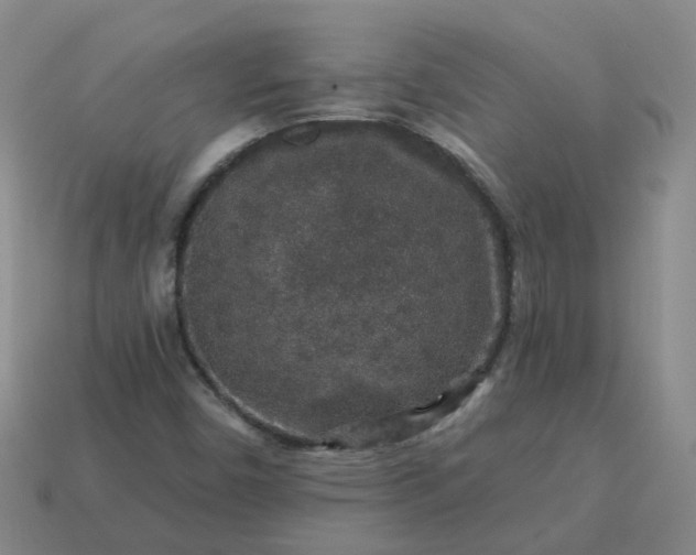 X0000114081450200910191532