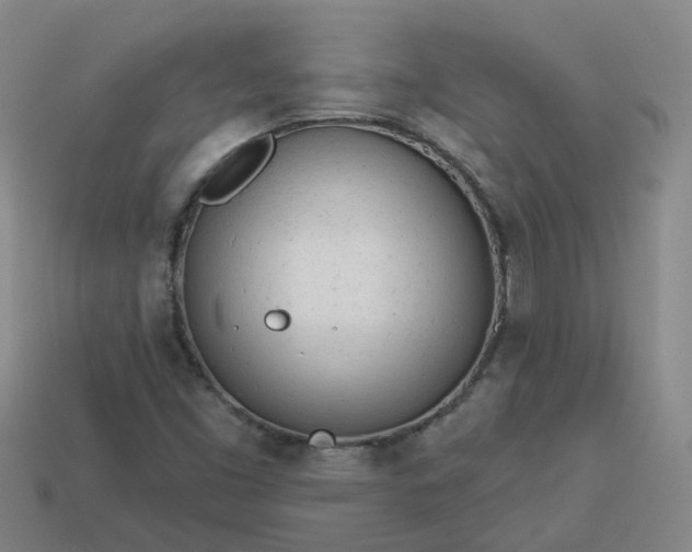 X0000114081453200910191532