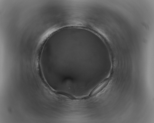 X0000114081455200910191532