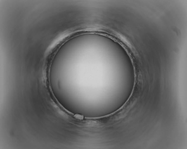 X0000114081456200910191532