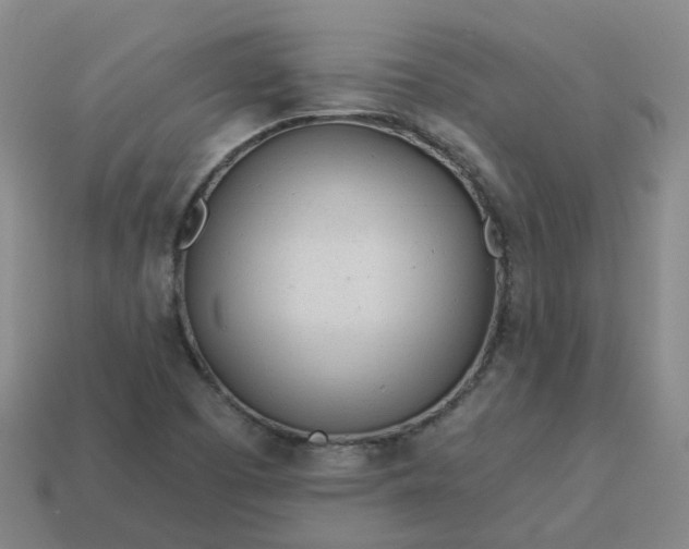 X0000114081457200910191532