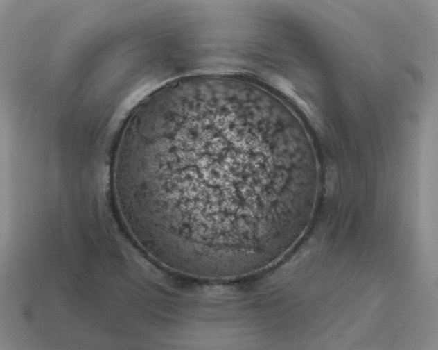 X0000114081459200910191532