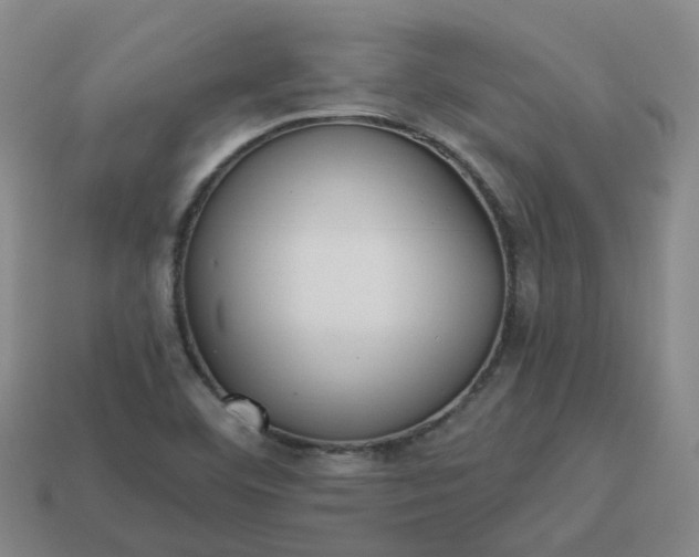 X0000114081460200910191532