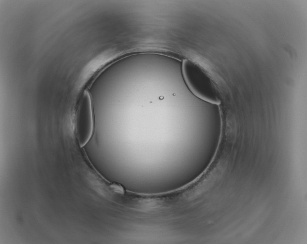 X0000114081461200910191532