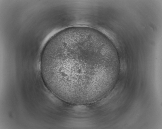 X0000114081462200910191532