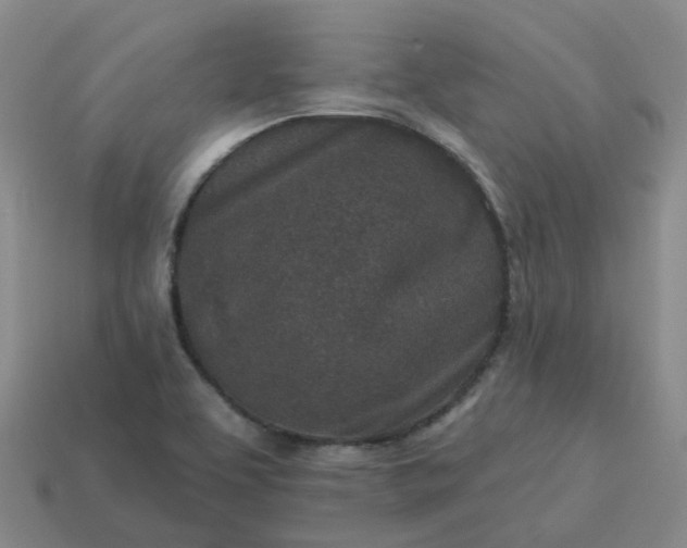 X0000114081463200910191532