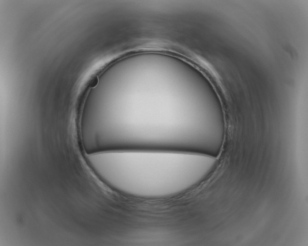 X0000114081464200910191532