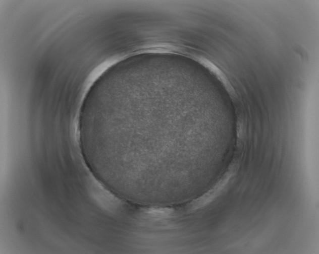 X0000114081466200910191532