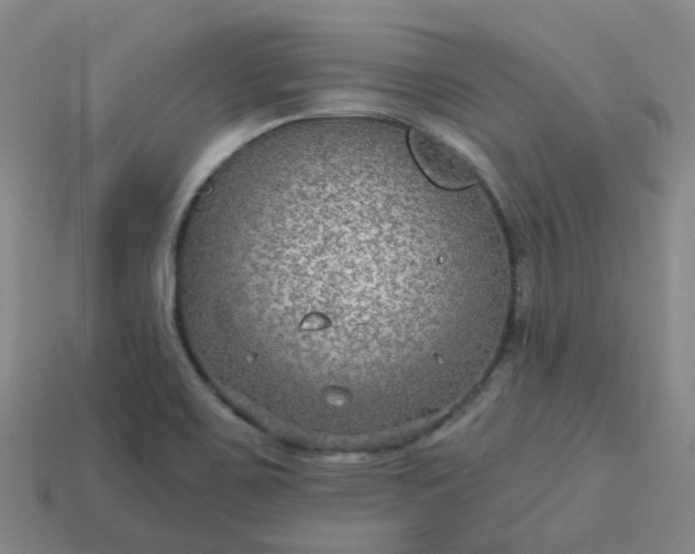 X0000114081467200910191532