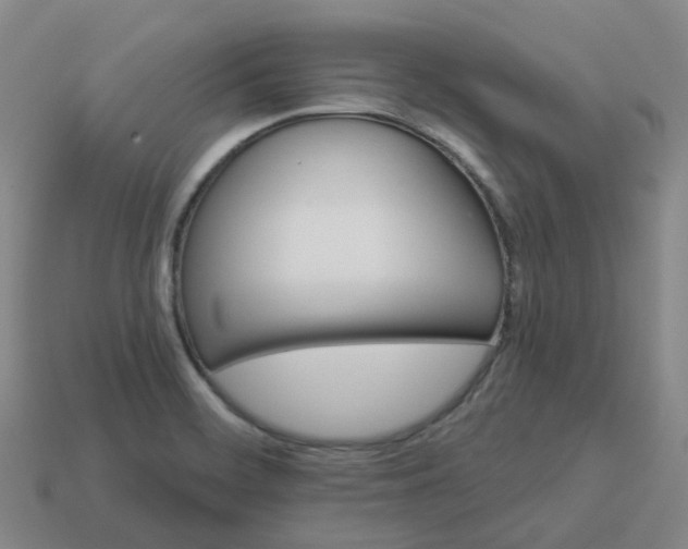 X0000114081468200910191532